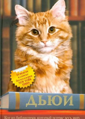 cover (2)